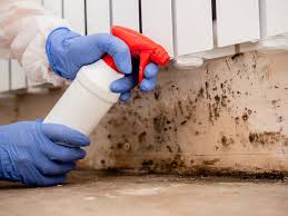 Why You Should Choose Our Mold Remediation Services in Sauk City, WI